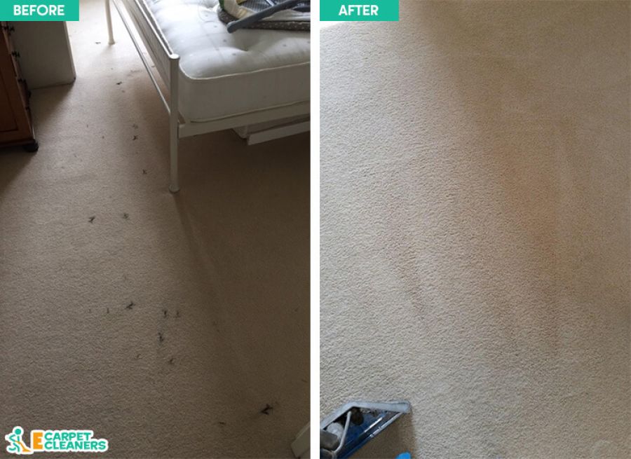 Expert Carpet Cleaners in IG1