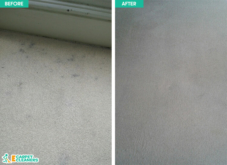 Carpet Cleaning Bayswater