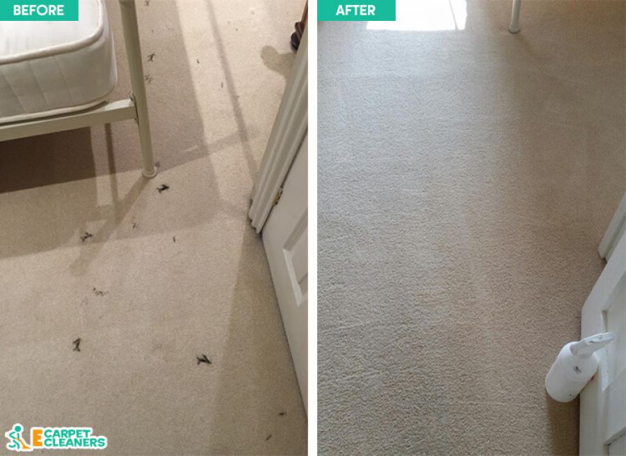 Carpet Cleaning in Belgravia