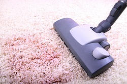 Carpet Cleaners in Camden