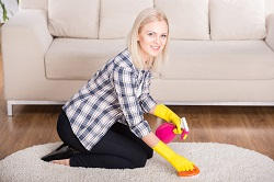 Balham Carpet Cleaners