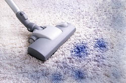 Dry Steam Carpet Cleaning Agency