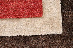 en5 clean carpets in barnet