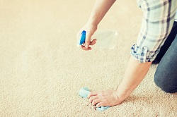 carpet cleaning agency se11