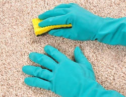 watford vacuum cleaning carpets