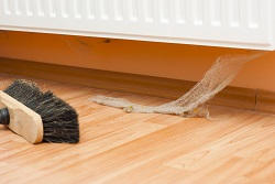 commercial carpet cleaner in dartford