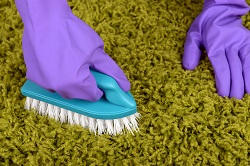 Dry Foam Carpet Cleaning