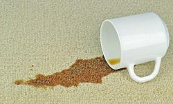 Carpet Cleaners Services in Hammmersmith and Fulham