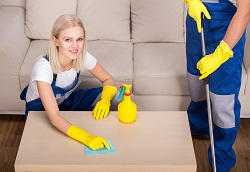 Steam Carpet Cleaners Kingston upon Thames