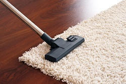 deep carpet cleaning in waterloo