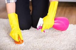 Top Carpet Cleaning Companies in Lewisham